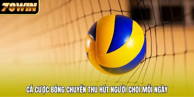 Cá cược bóng chuyền thu hút người chơi mỗi ngày