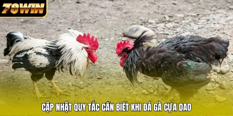 Cập nhật quy tắc cần biết khi đá gà cựa dao