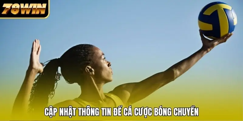 Cập nhật thông tin để cá cược bóng chuyền