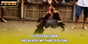 Đá Gà Cựa Dao 78WIN - Sân Chơi Kịch Tính, Thắng Lợi Dễ Dàng