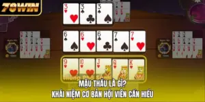 Mậu Thầu Là Gì? Khái Niệm Cơ Bản Hội Viên Cần Hiểu