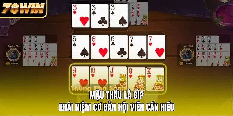 1 Mậu Thầu Là Gì? Khái Niệm Cơ Bản Hội Viên Cần Hiểu Mậu Thầu Là Gì? Khái Niệm Cơ Bản Hội Viên Cần Hiểu