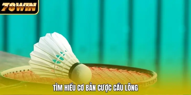 Tìm hiểu cơ bản cược cầu lông Tìm hiểu cơ bản cược cầu lông